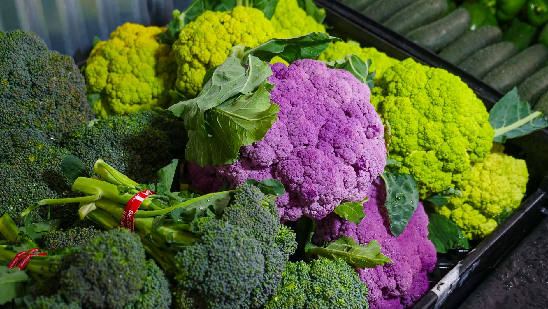 Cabbage Family: Key Differences