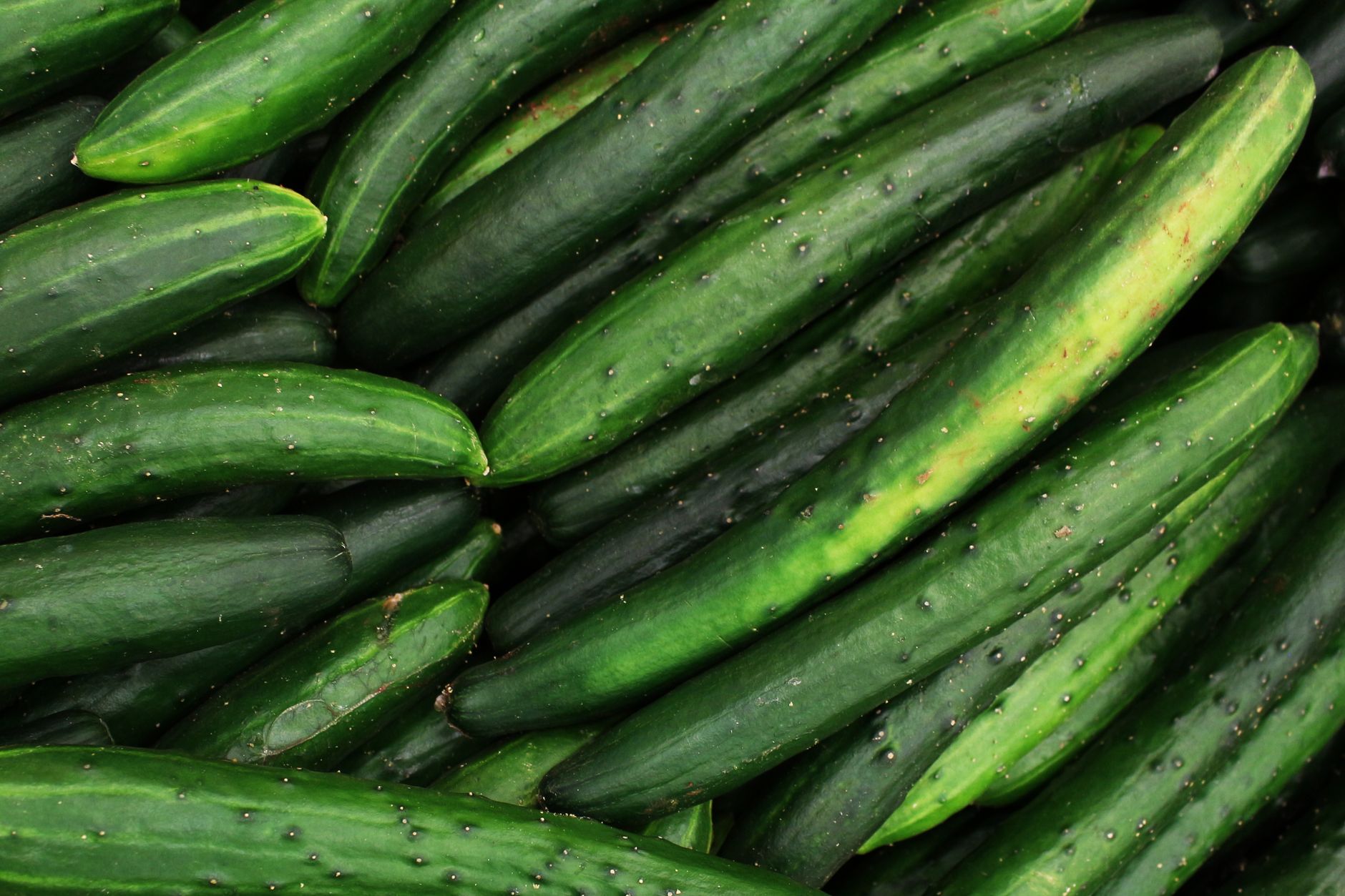 Cucumbers: Benefits and How to Choose