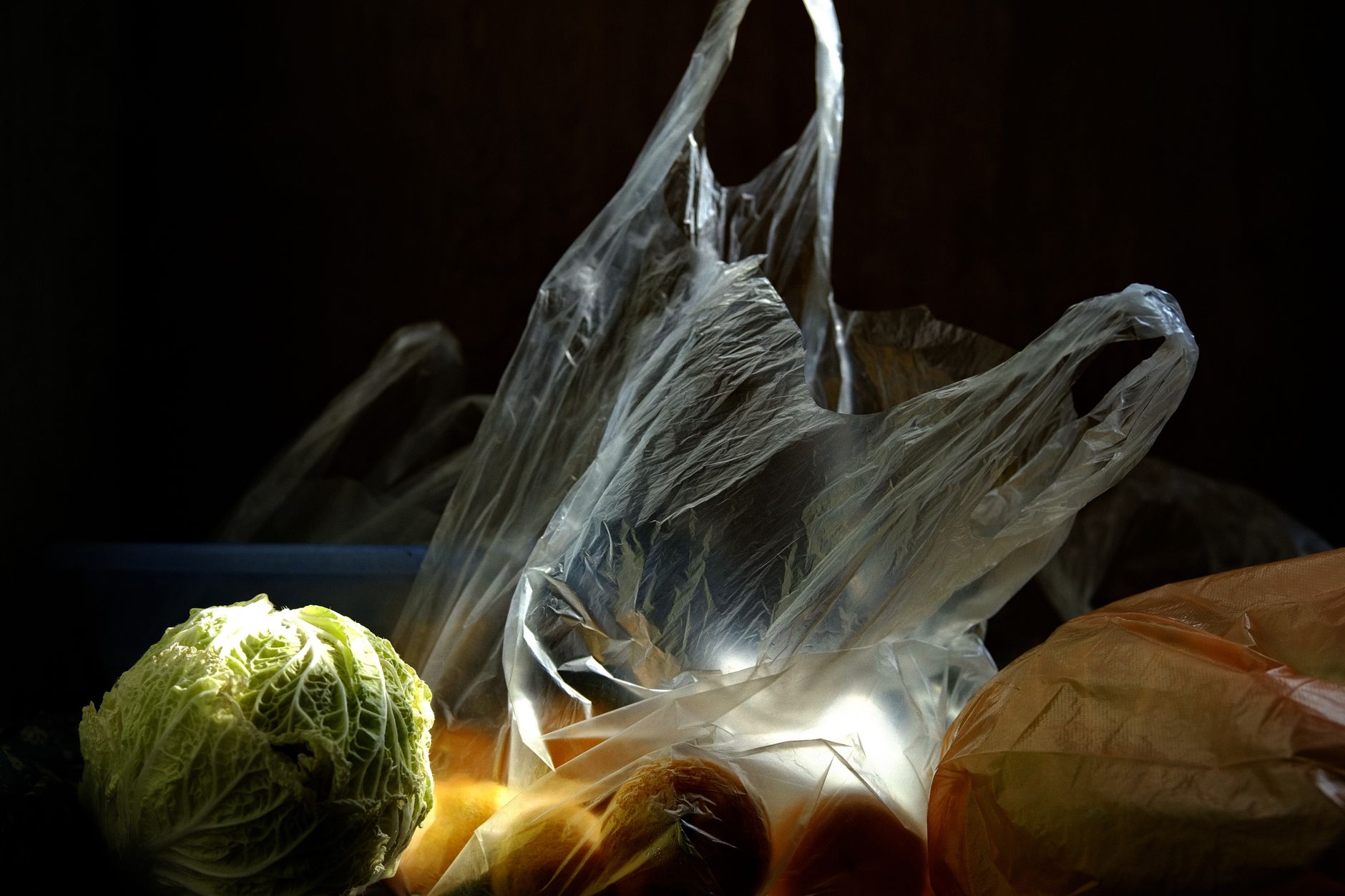 Frozen vs Fresh Vegetables