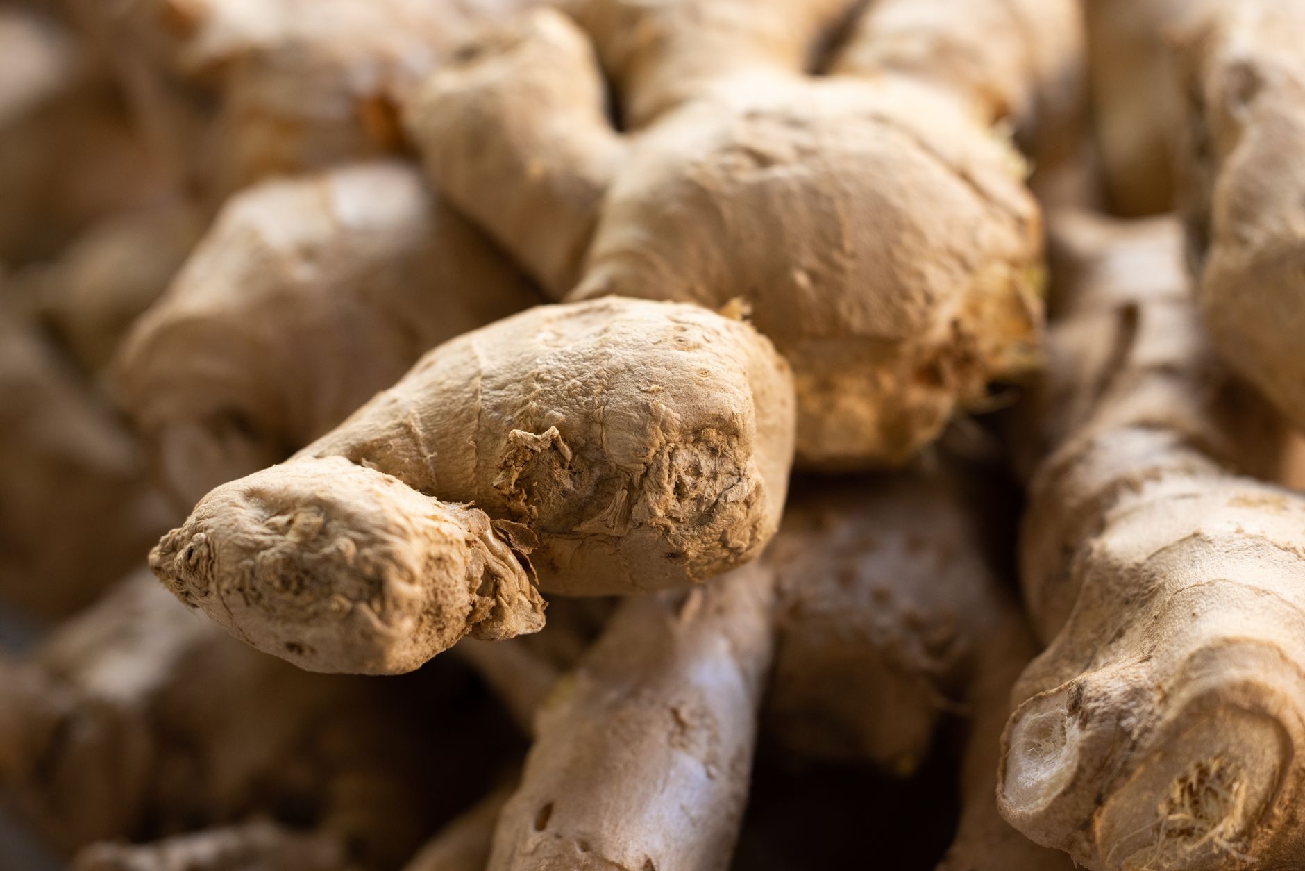 Ginger: Properties and Uses