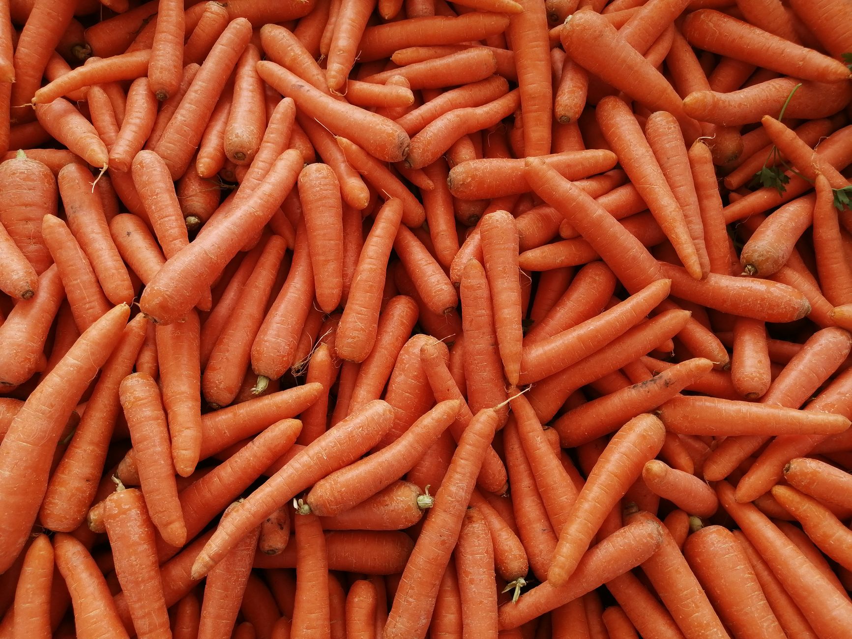 Health Benefits of Carrots