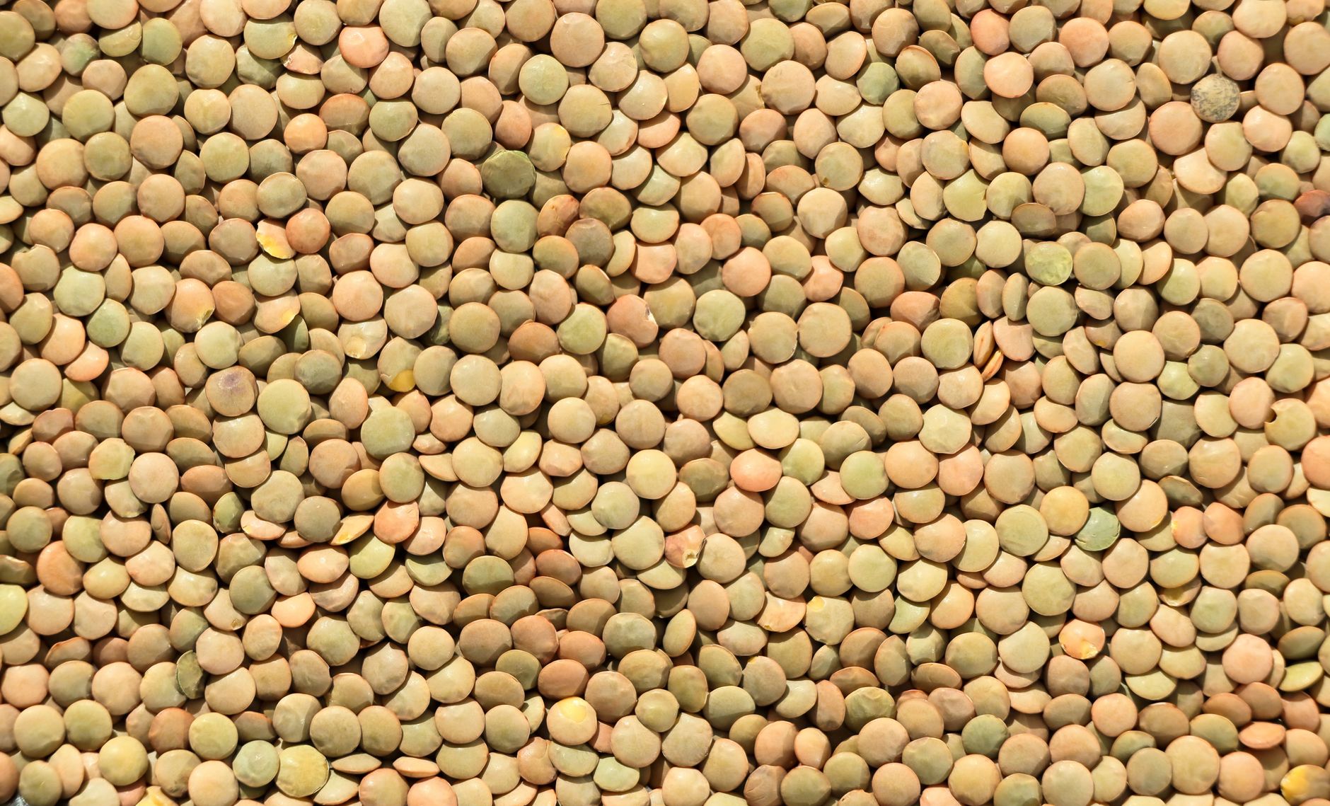 Legumes: Lentils, Chickpeas, Beans