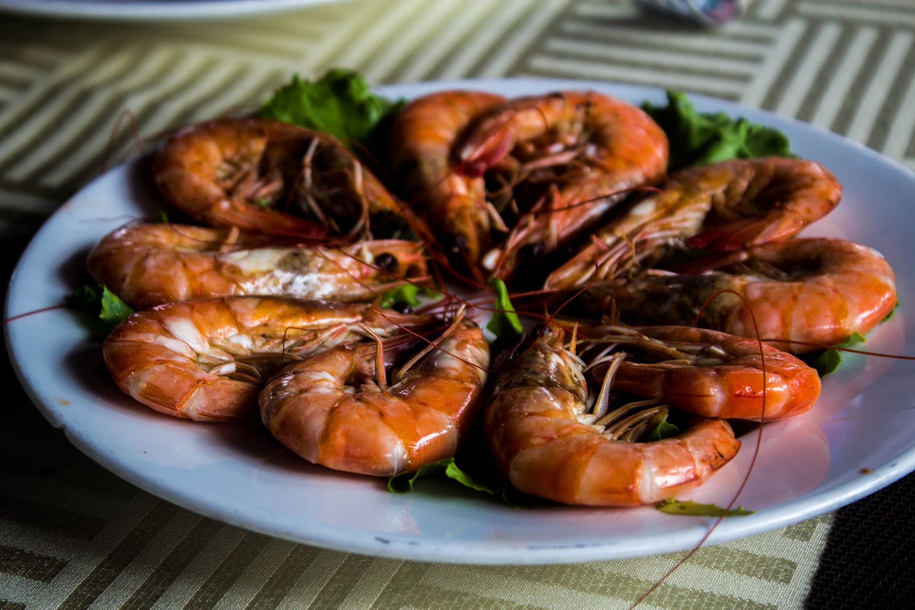 Seafood: Shrimp and Mussels Benefits