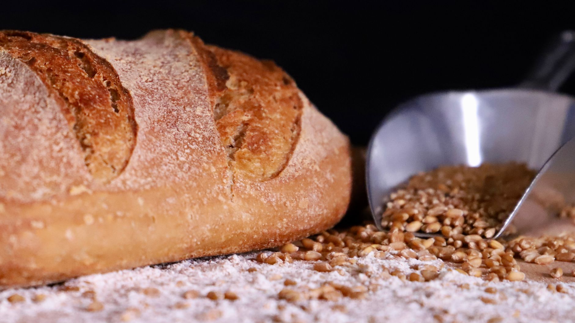 Whole Wheat Bread